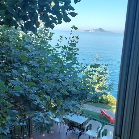 Homestay szállás Alfar *